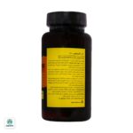 قرص ال کارنیتین 1000 میلی گرم دانا - تصویر 2
