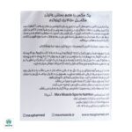 پودر بیگ مکس مکس ماسل - Image 7