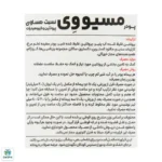 پودر مسیو وی کارن 1000 گرم - تصویر 3
